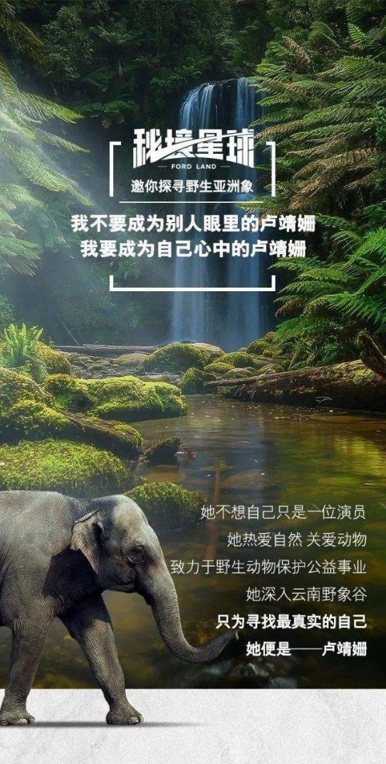 平安产险赤峰|龙的传人